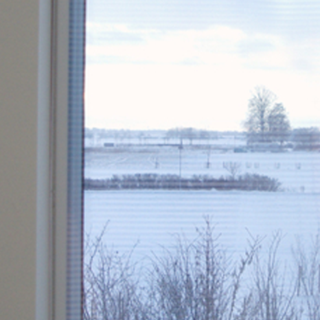 WINDOW+
